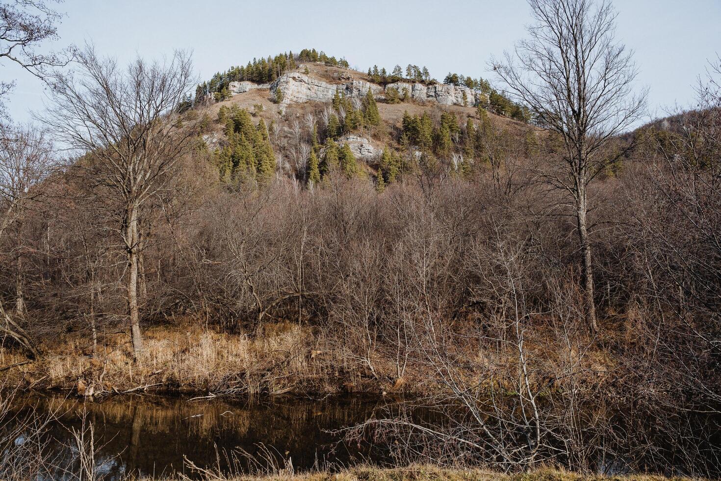 Rocky outcrop rising above marshland pool with sparse conifers on slope, leafless scrub in foreground, still water reflecting cliff base, cool light and textured stone face, moody remote photo
