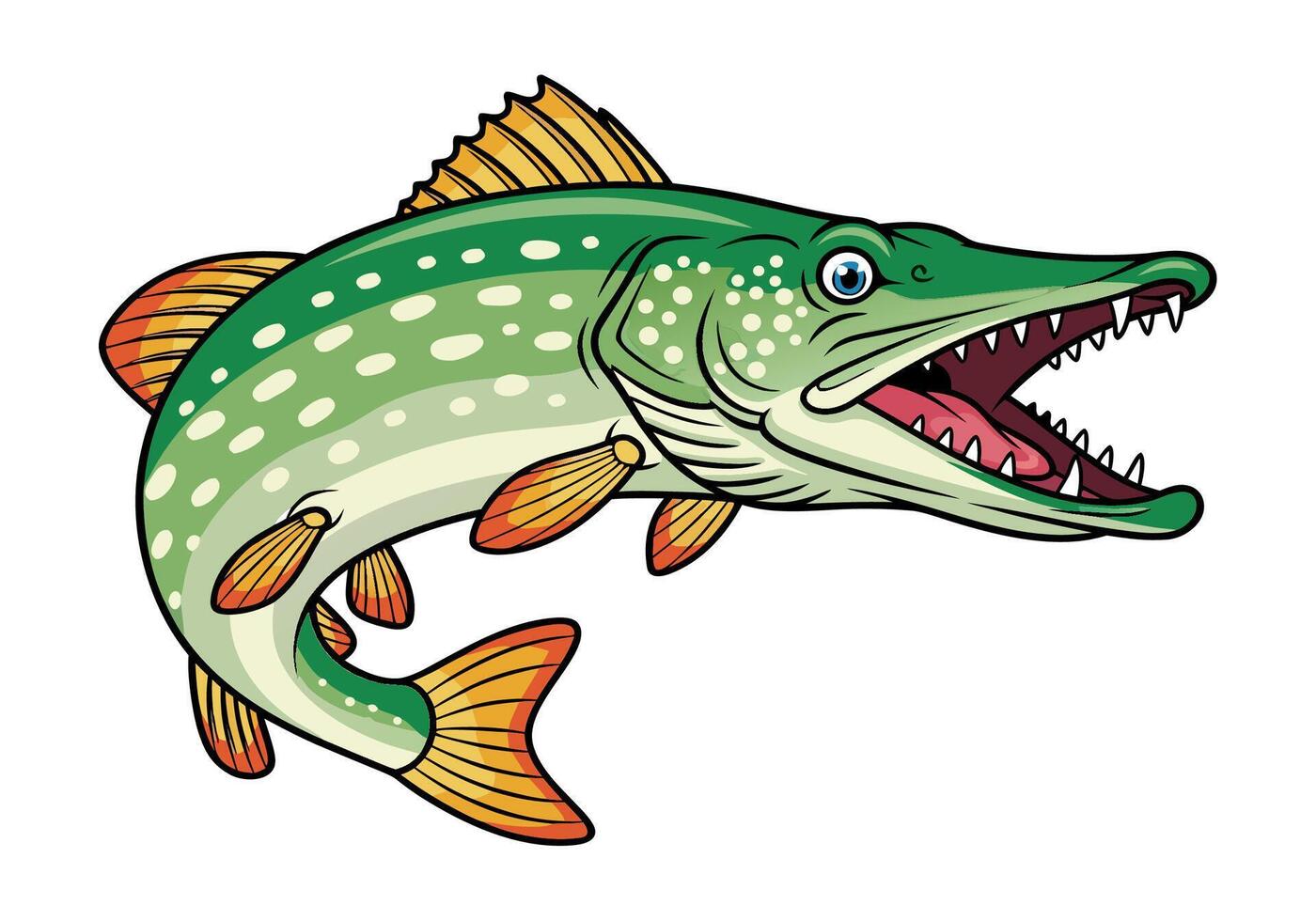 Illustration of a fierce Northern Pike fish with an open mouth and sharp teeth, ready to strike, isolated on a white background vector
