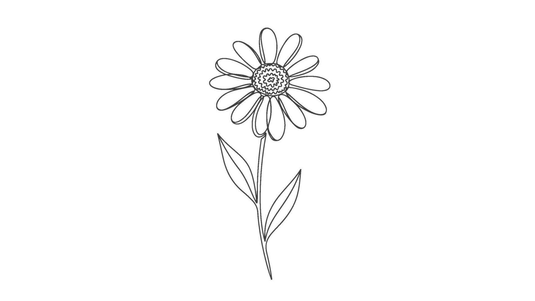 A single continuous line art drawing of a daisy flower, one stroke simplicity in elegant black and white sketch vector