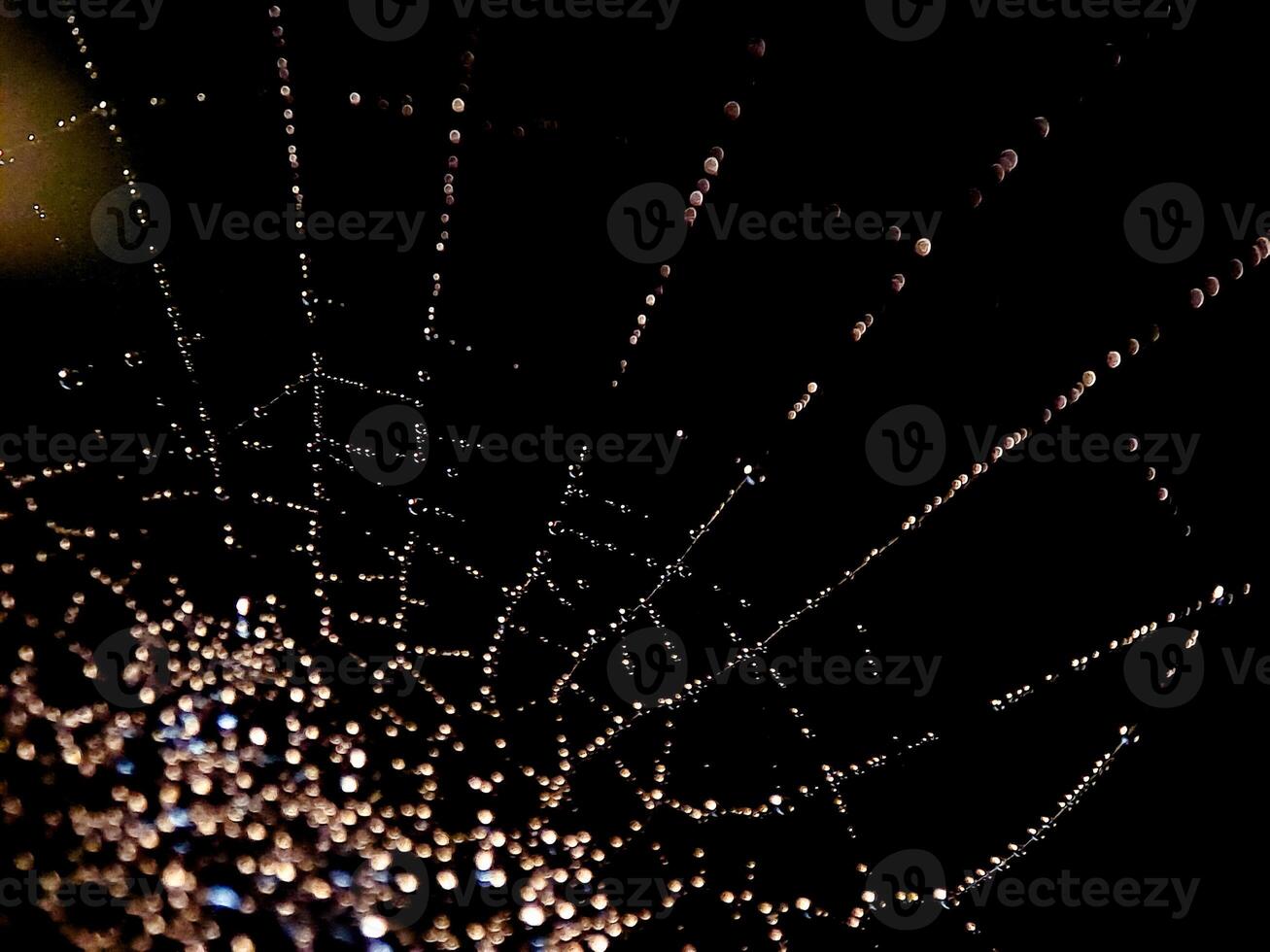 Dewdrops adorn a spiderweb at night, creating a sparkling, ethereal, abstract, and artistic view. photo