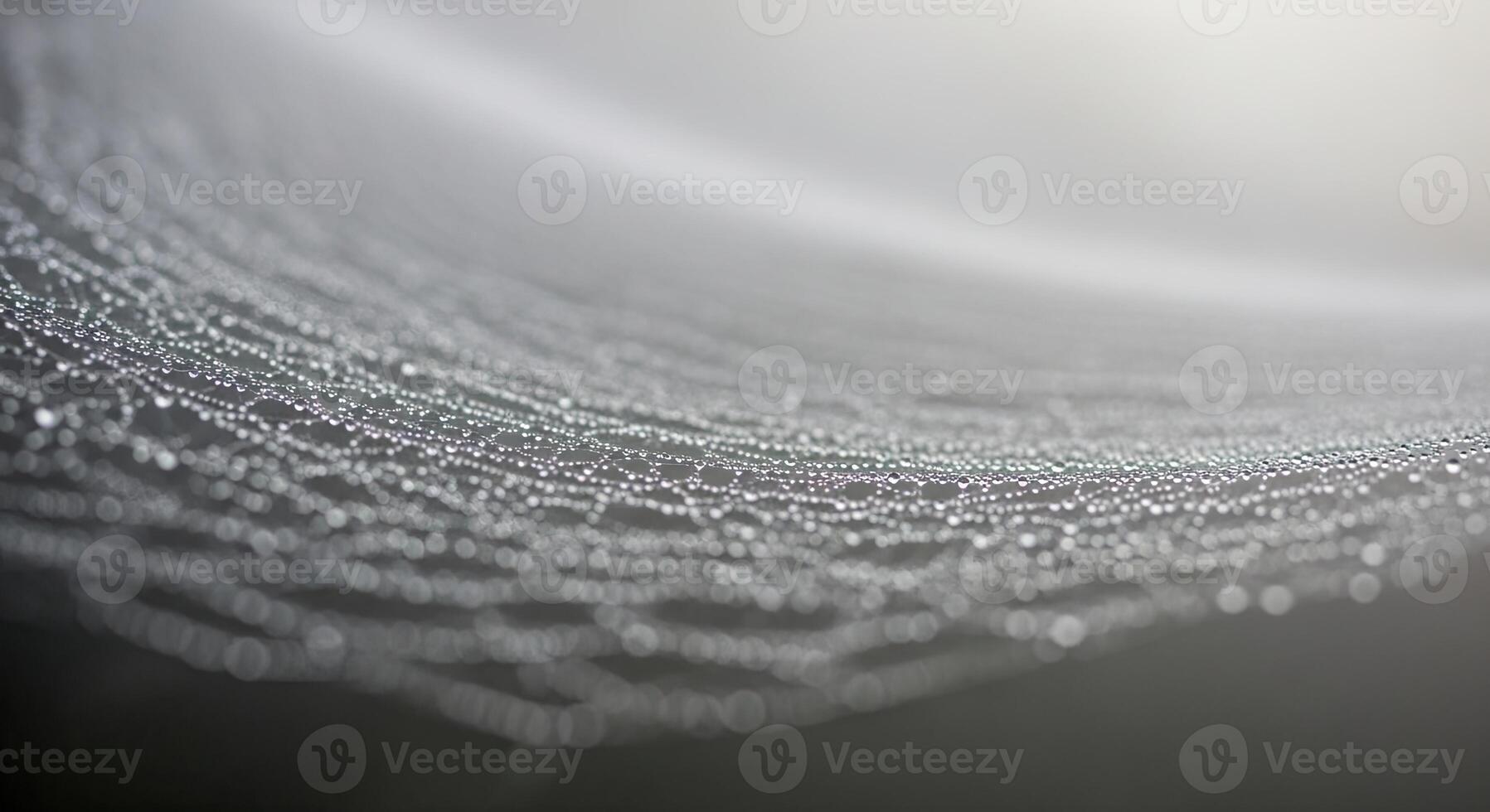 Delicate spiderweb threads covered in sparkling morning dew drops. photo