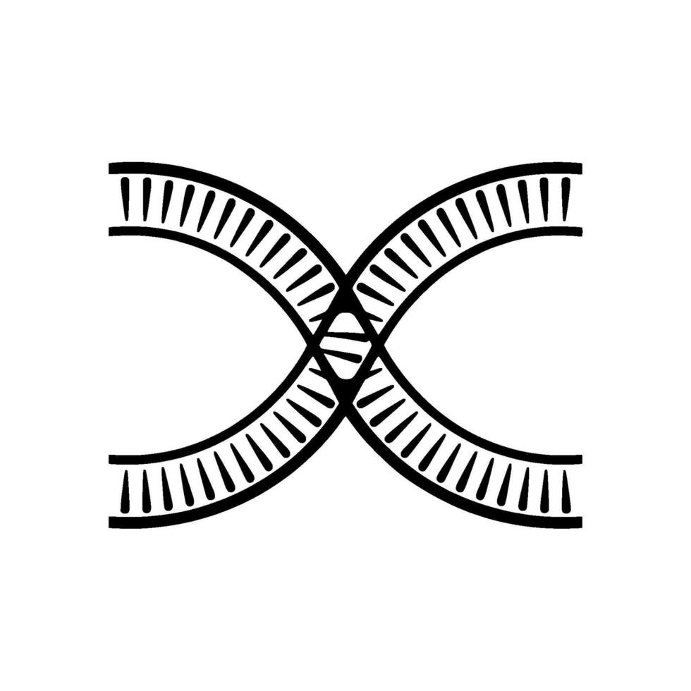 A stylized representation of interconnected double helix DNA strands crossing each other vector