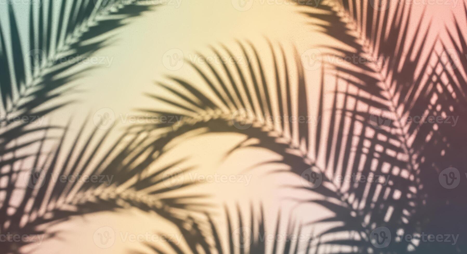 Sunlit palm leaf shadows creating artistic patterns on pastel background photo
