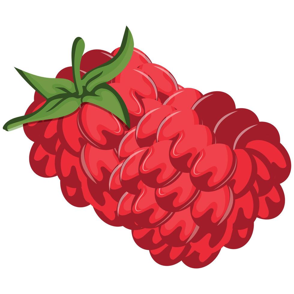 icon of ripe raspberry fruits with a green tail, for thematic printing, social networks or web design vector