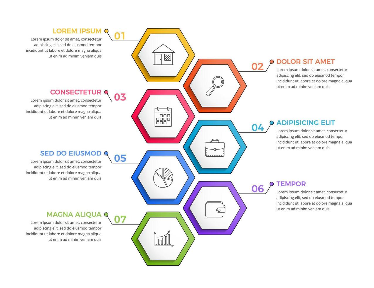 Infographic template with seven options or steps with hexagon, process, workflow template vector