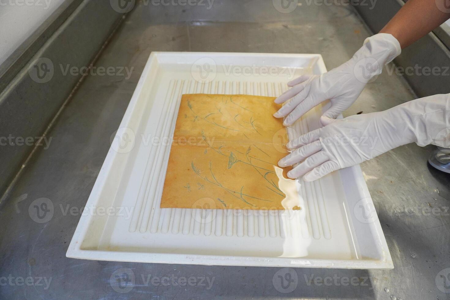Gloved hands wash the sheet with the pattern in a cuvette with water. Paper restoration, archival processing, workshop. photo