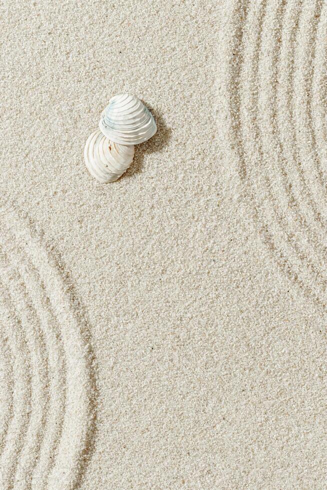 Seashells on Sandy background, Japanese Zen Garden concentric circles, shell on fine sand with gentle wave pattern, minimal and peaceful beach-inspired, neutral monochrome top view photo