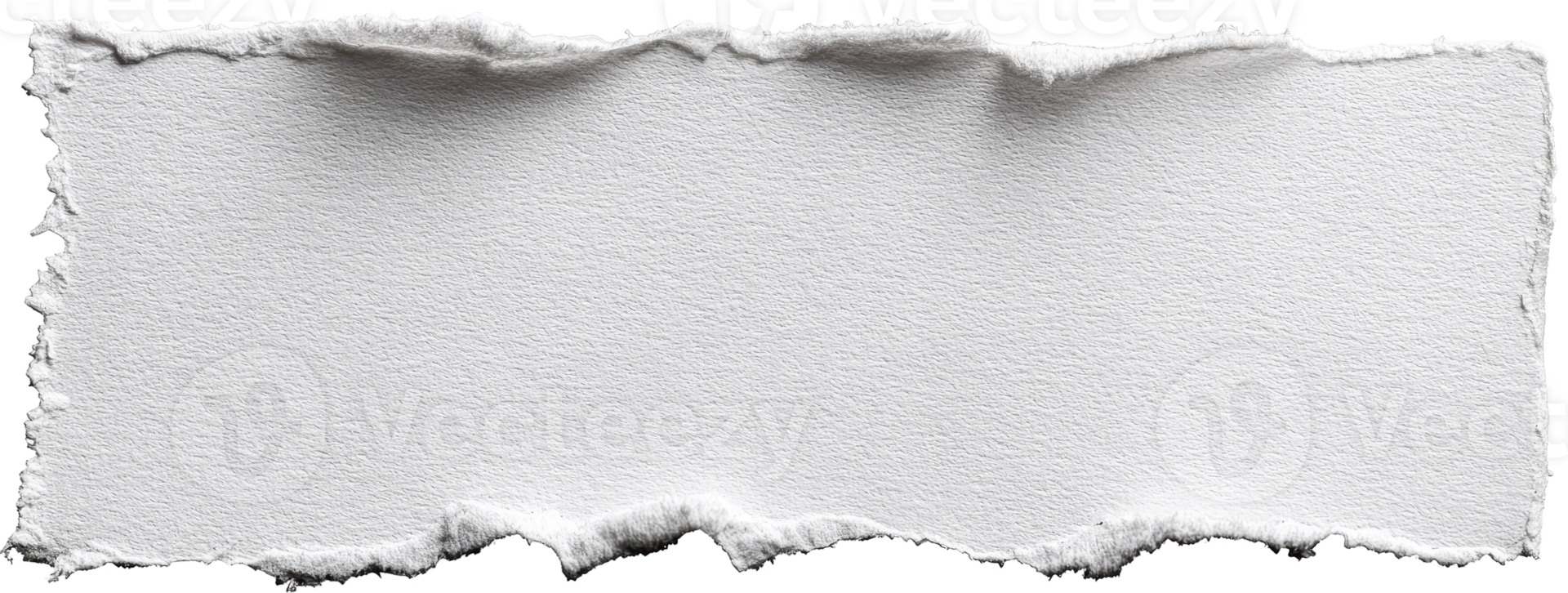 White paper torn edge strip with rough uneven borders for message isolated on transparent background png