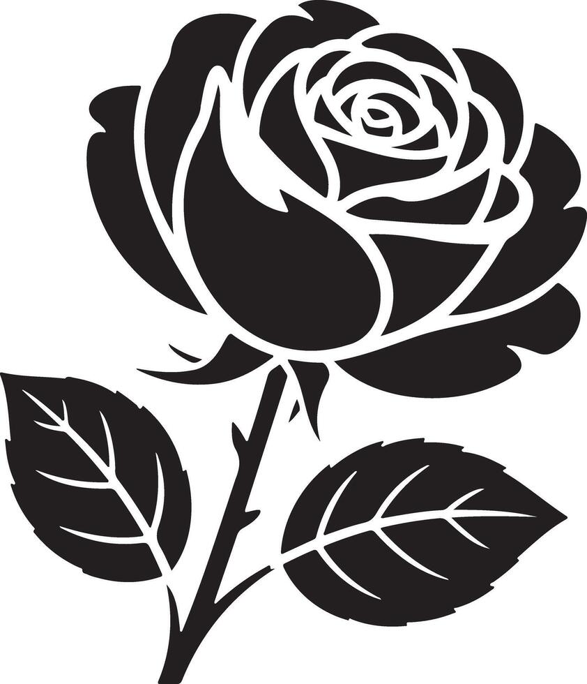 Intricate transparent and white circular mandala design with geometric patterns vector