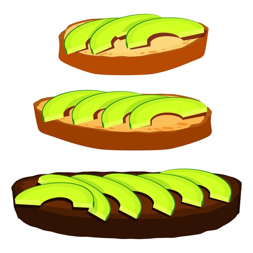 A set of three toasts with different bread and slices of avocado vector