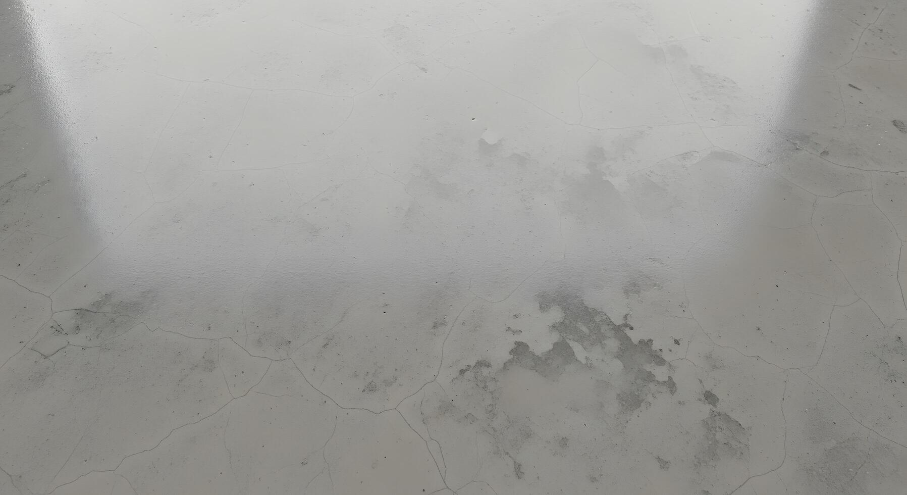 Abstract grey and white textured surface with subtle cracks and organic patterns, offering a minimalist and sophisticated backdrop photo