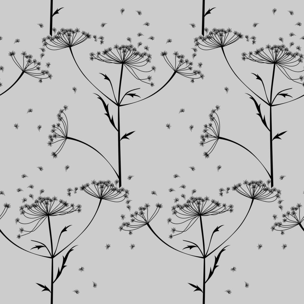 seamless botanical pattern of stems and inflorescences of hogweed or dill, hand-drawn pattern vector