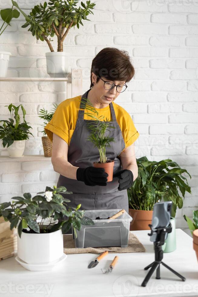 Middle aged woman blogger standing in front of smartphone camera on tripod records instructional tutorial for her blog shoots process of replanting flowers and plants of soil enjoys botanic hobby. photo