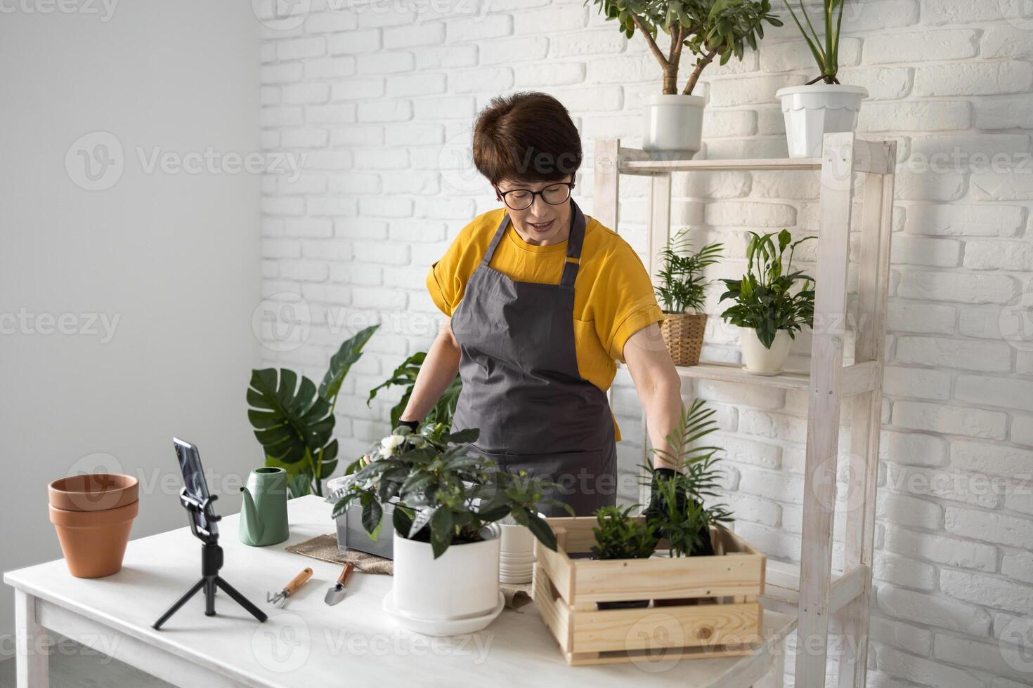 Middle aged female blogger in front of smartphone camera on tripod records instructional tutorial for her blog shoots process of replanting flowers and green plants full of soil enjoys botanic hobby. photo