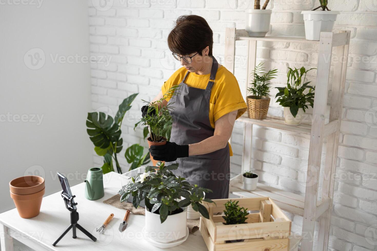 Female blogger stanging in front of smartphone camera on tripod records instructional tutorial for her blog shoots process of replanting flowers and green plants full of soil enjoys botanic hobby photo