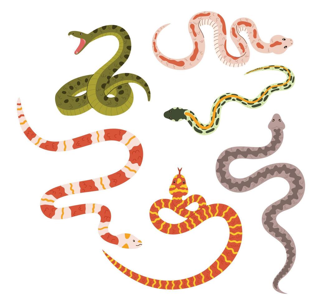 Snakes Collection, Diverse Array Of Colors And Patterns. From Vibrant Scales To Intricate Designs, These Serpents vector