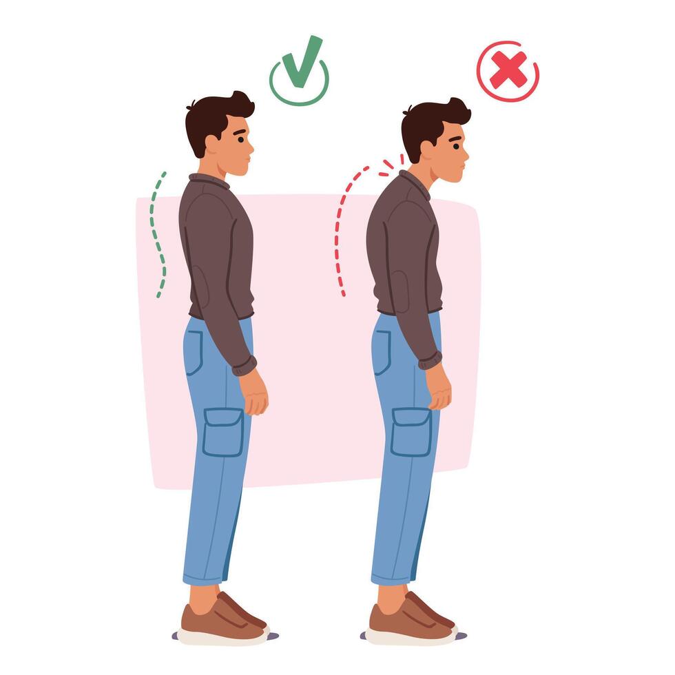 Male Character With Wrong Posture, Slouched With Rounded Shoulders. Proper Posture, Upright, Shoulders Back vector