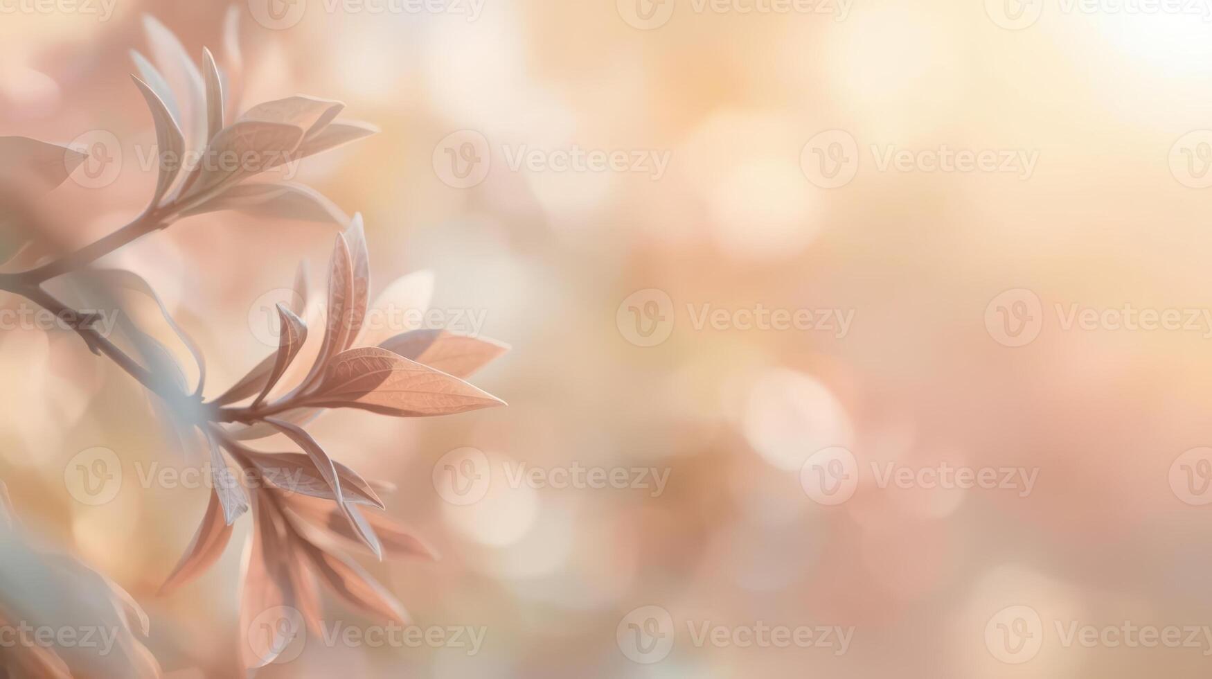 Delicate new leaves emerge in the soft sunlight, creating a peaceful and ethereal scene with a blurred bokeh background in sp season. photo