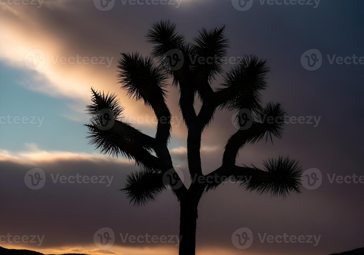Silhouette of a Joshua Tree against a Dramatic Sunset Sky in Joshua Tree National Park Creating a Striking Desert Landscape with Moody Colors and Unique Flora photo