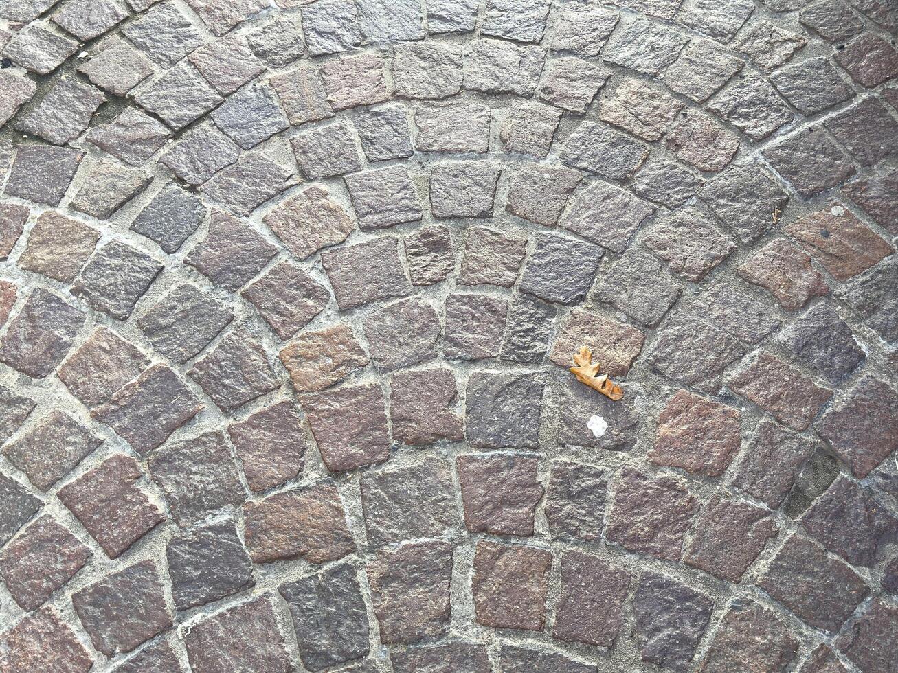 Circular pattern of cobblestone pavement featuring various shades of brown and gray stones, with a single autumn leaf resting on the surface, creating a natural contrast in the urban environment photo