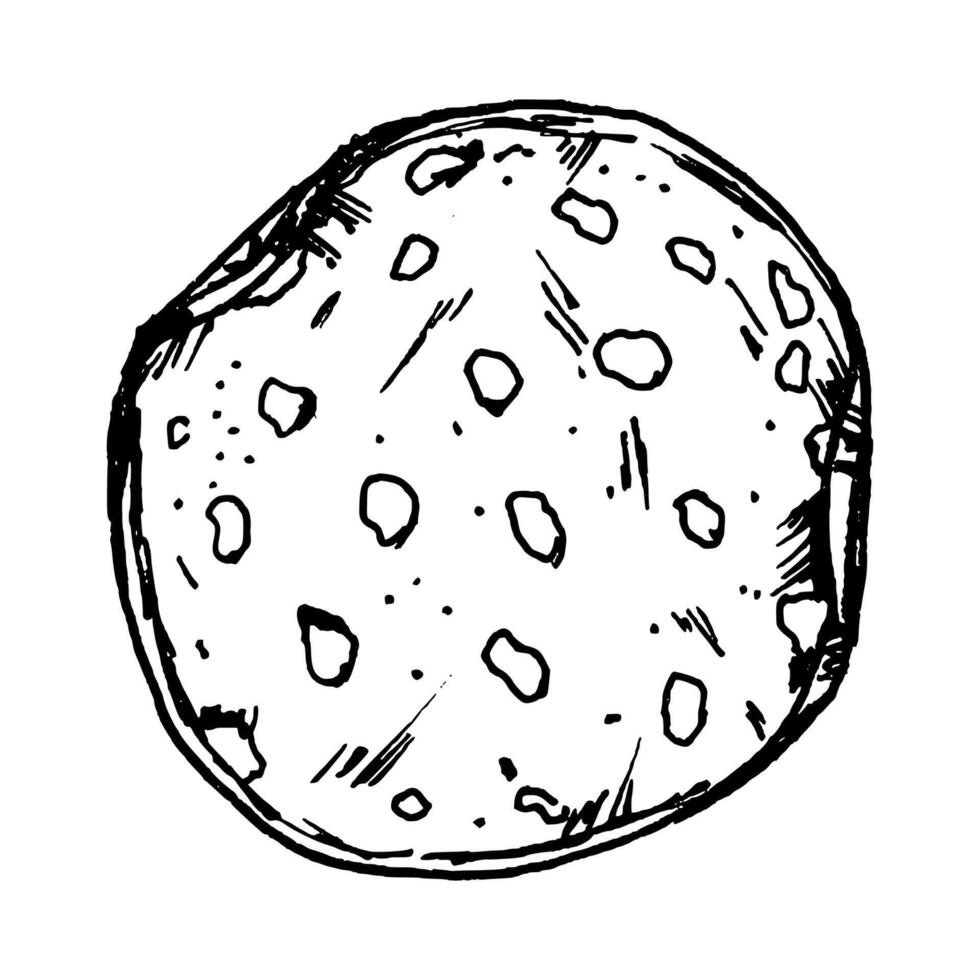 illustration of round salami slice with scattered fat specks and textured edges. Clean line work makes it suitable for meat sets, deli graphics, pizza toppings, sandwich layouts, cooking theme vector