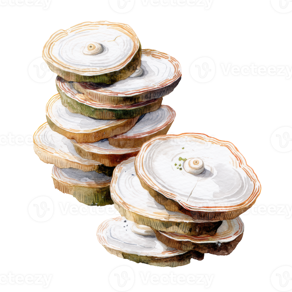 Watercolor stack of sliced tree trunk crosssections with visible growth rings and bark, isolated on transparent background png