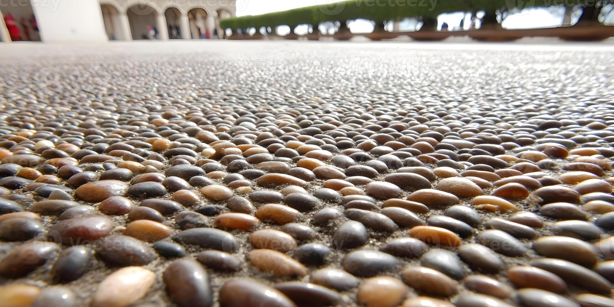 A close up view from ground level shows numerous rounded pebbles forming a textured path in a sunny outdoor setting photo