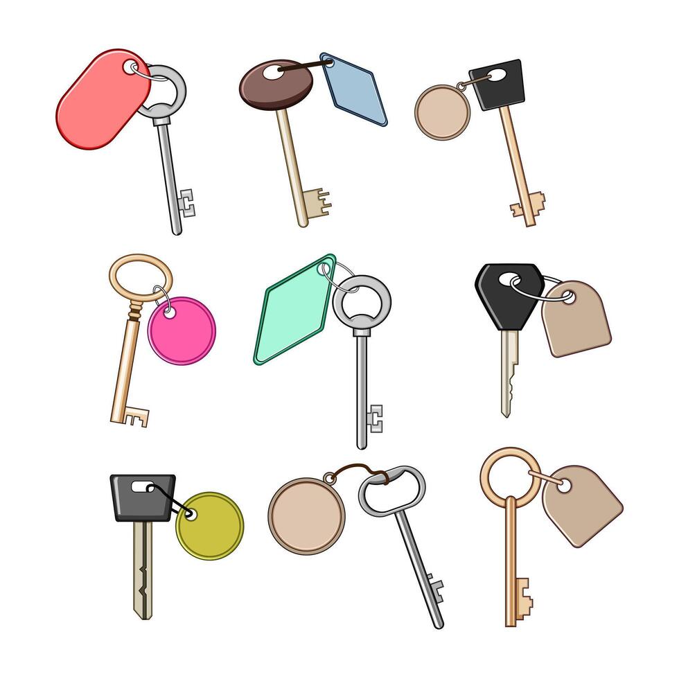 Various keys with blank tags and key fobs vector