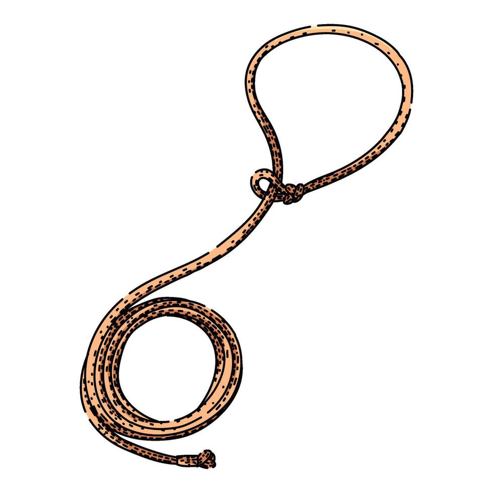 Lasso rope showing a slip knot and loop vector