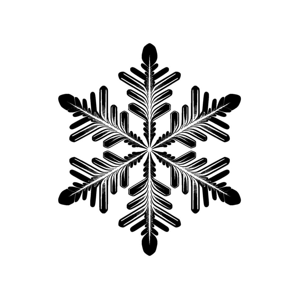 A stylized symmetrical snowflake with intricate fractal branching patterns vector
