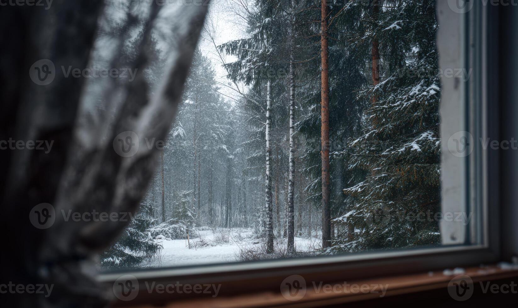 A window view of a snowy forest with trees covered in snow photo