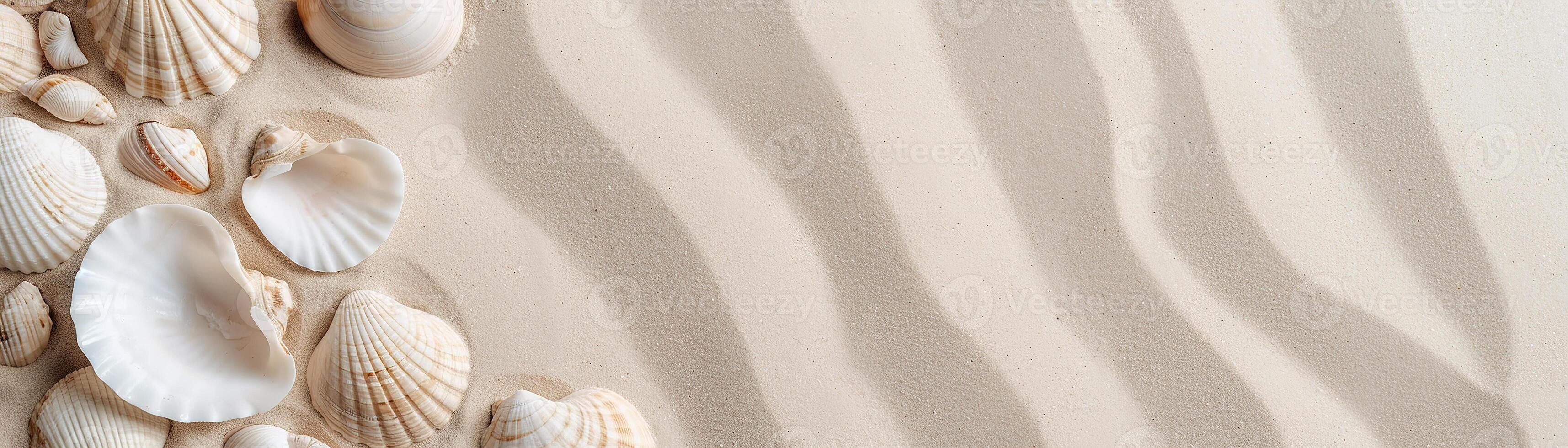 Soft sandy surface features an array of seashells at the bottom edge. Gentle ripples in the sand enhance the calming coastal atmosphere, inviting relaxation and exploration photo