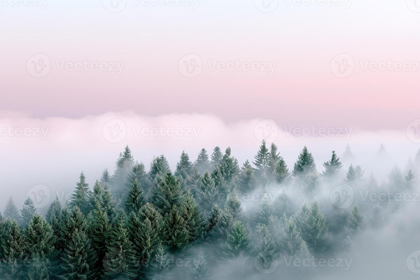 Dawn breaks over a serene evergreen forest clearing, with tall trees rising through soft fog. A wide-open sky above enhances the tranquil atmosphere, inviting reflection and calmness photo