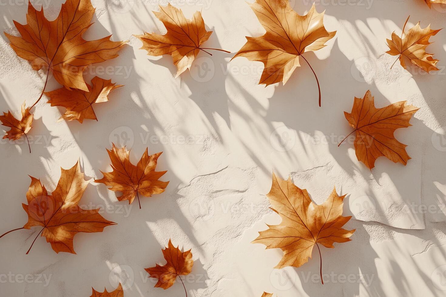 Autumn leaves scattered on a light surface with shadows in warm sunlight photo