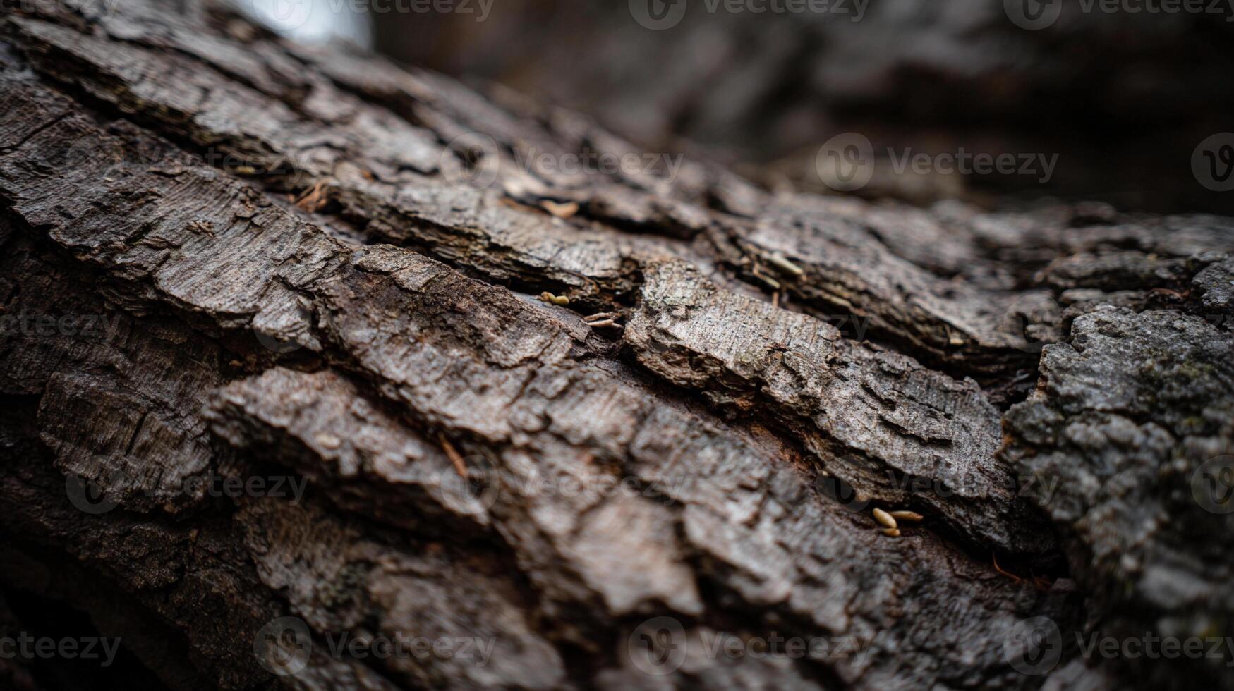 Exploring the intricate textures of bark in earthy tones with macro realism photo