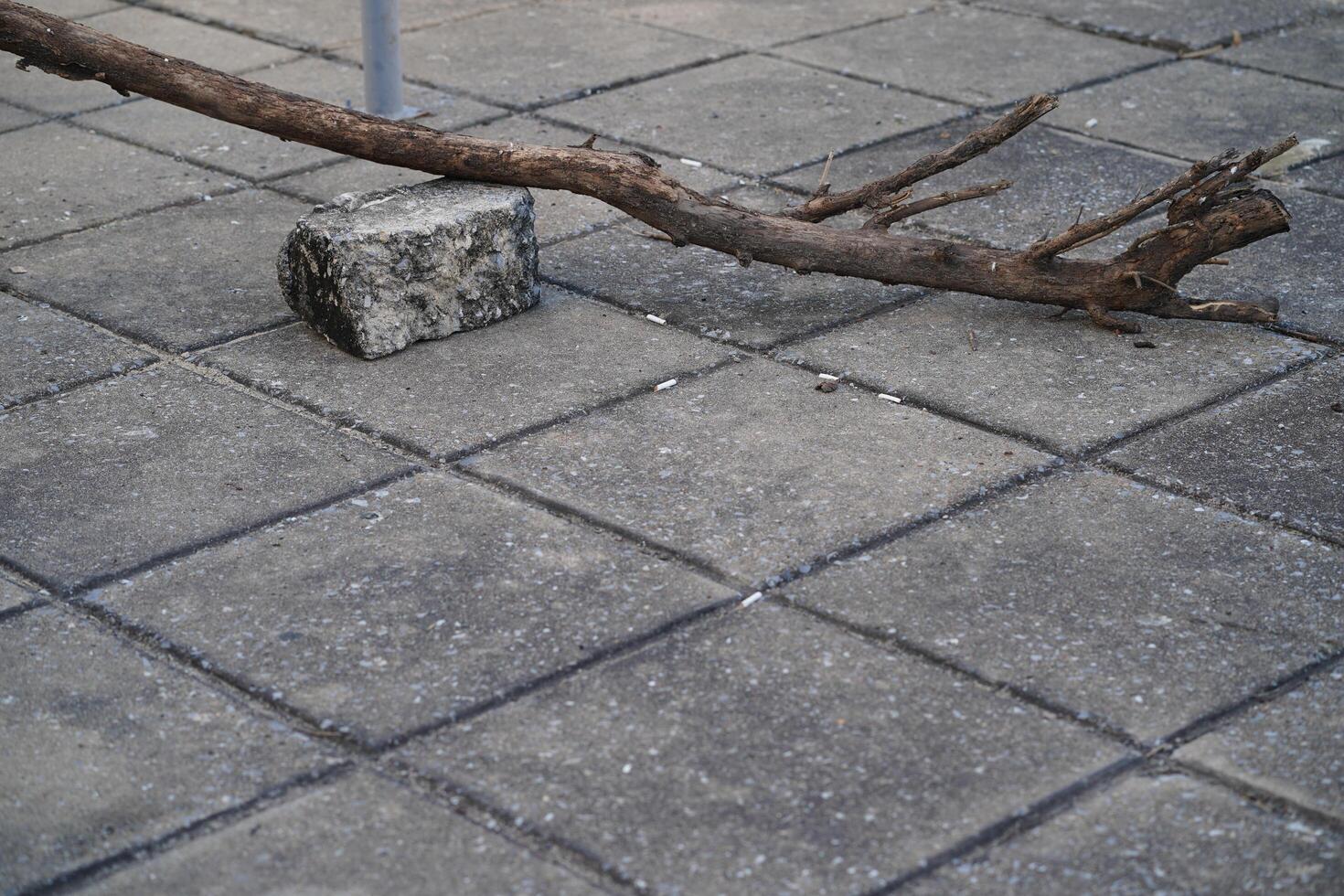 Natural elements on urban pavement, showcasing a stick resting on a stone block, highlighting the contrast between nature and human-made environments. photo
