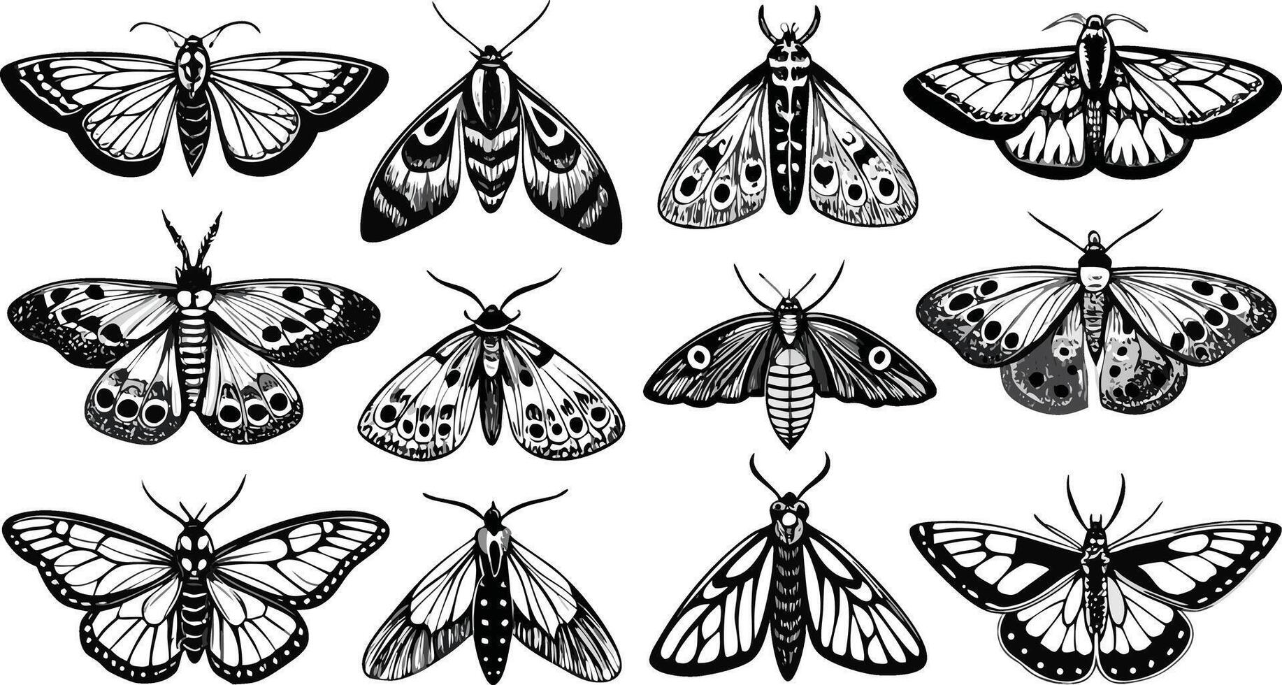 Detailed moths flying in formation against a white creating a whimsical monochrome pattern vector