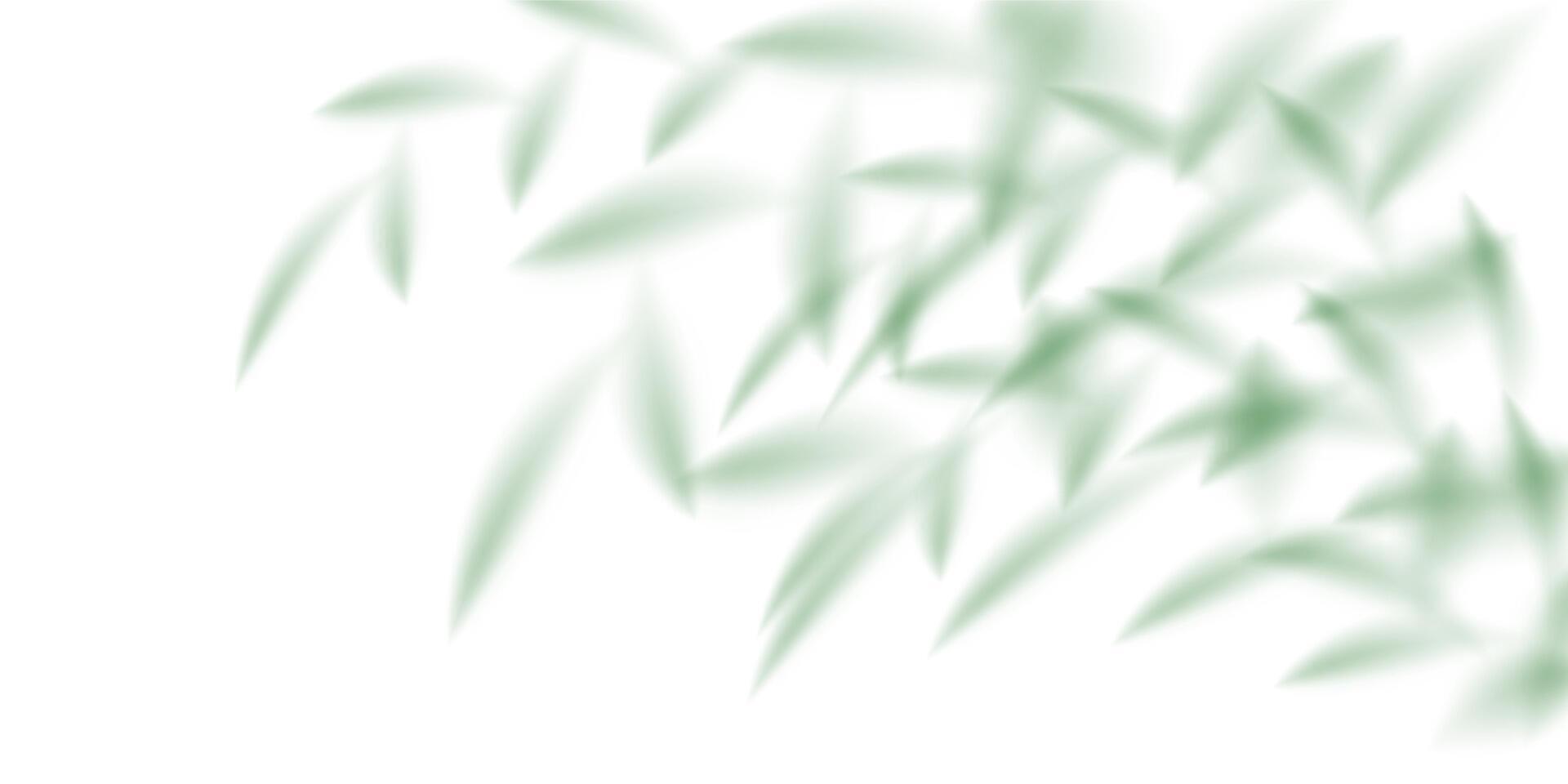 Plant leaves bamboo shadow bg, light summer transparent effect. Palm tree shade, branch texture. Sunlight on wall cast abstract folliage effect. Tropic silhouette pattern, realistic gobo vector