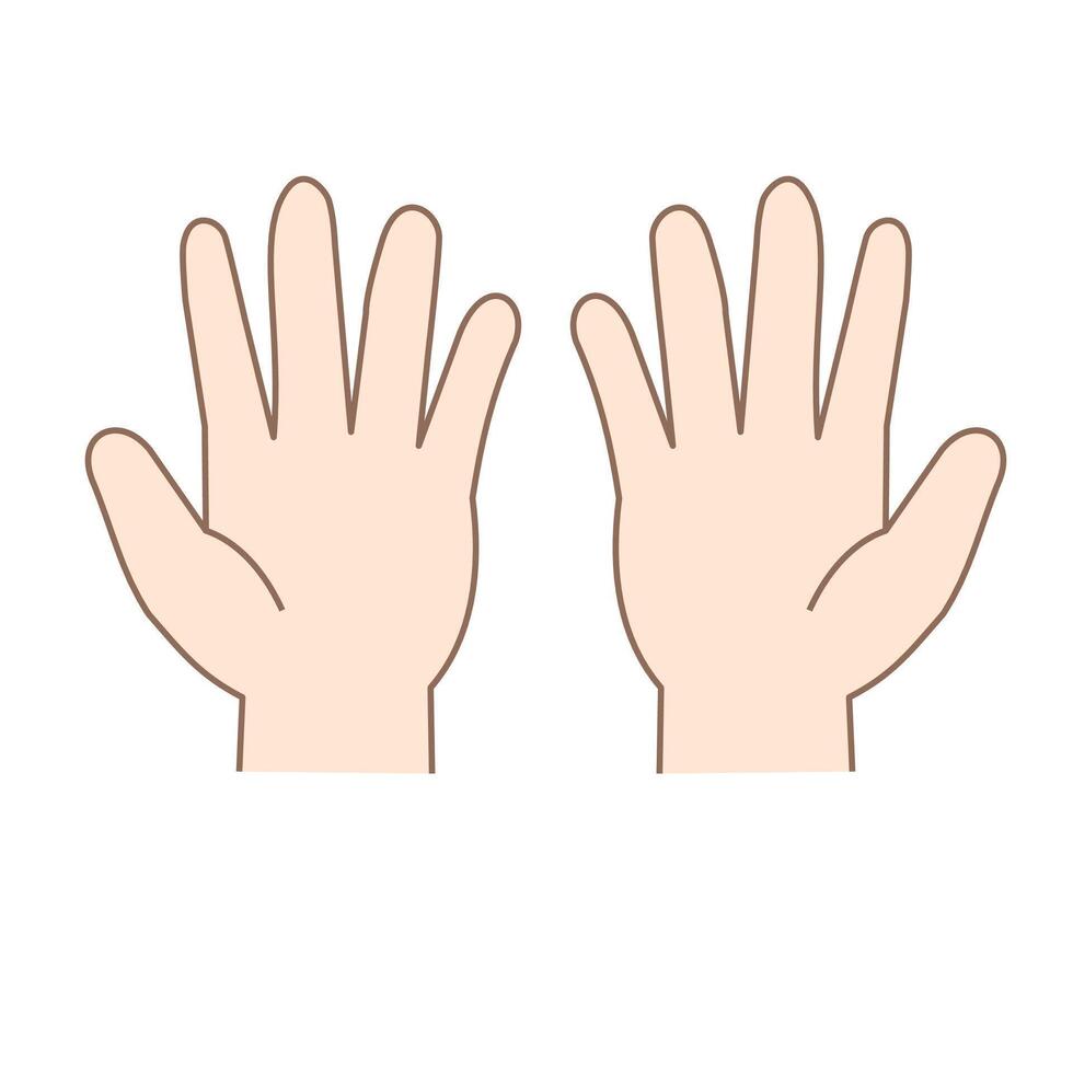 Two open hands.hand and finger gestures in front.Human body part.Hand palm gesture emoji.Sign, symbol, icon and logo isolated on white background.Flat design.Graphic. vector