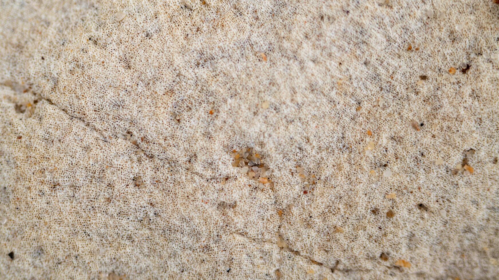 Abstract Macro Texture of Fibrous Material Embedded with Sand photo