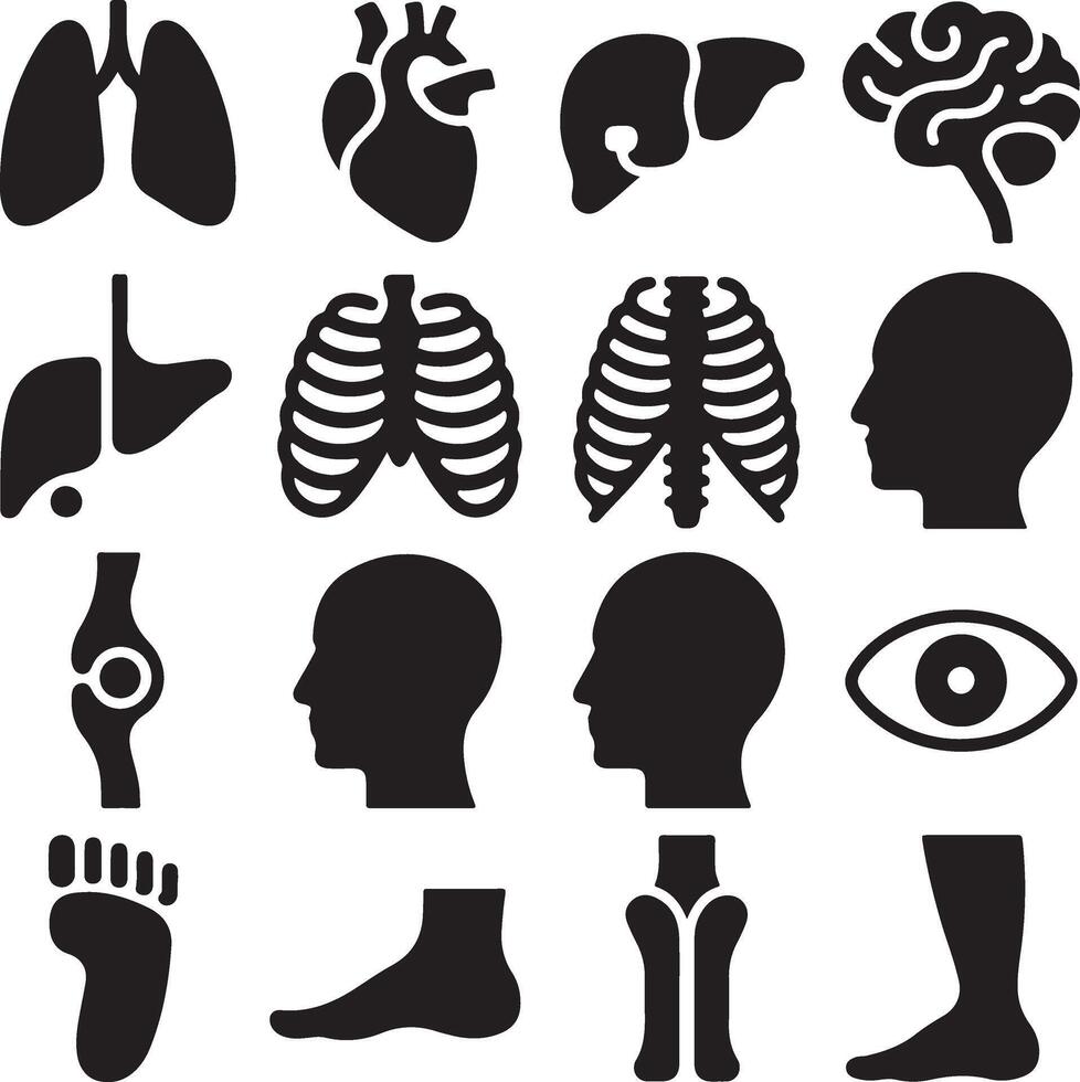 A comprehensive collection of human anatomy icons, including internal organs, skeletal structures, and body parts, presented in a clean, minimalist silhouette style on a white background for easy vector