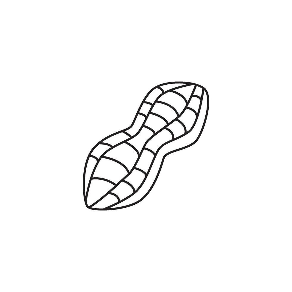 Simple, minimalistic line art illustration of a peanut, showcasing its distinct segmented shell in a clean, modern style vector