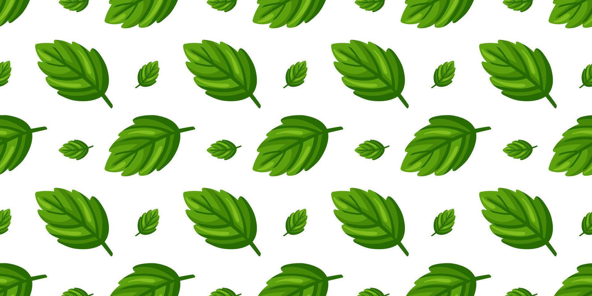Seamless pattern with large and small green mint leaves arranged in a clean repeat on white background. Cartoon style vector