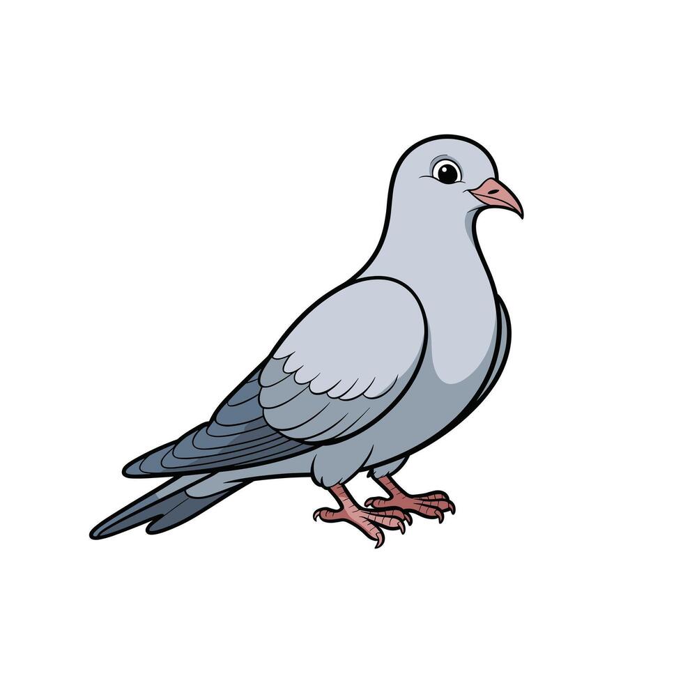 A gray pigeon standing isolated on a white background. The pigeon has a simple, cartoon-like design with soft gray feathers and a pink beak. It is standing still. vector