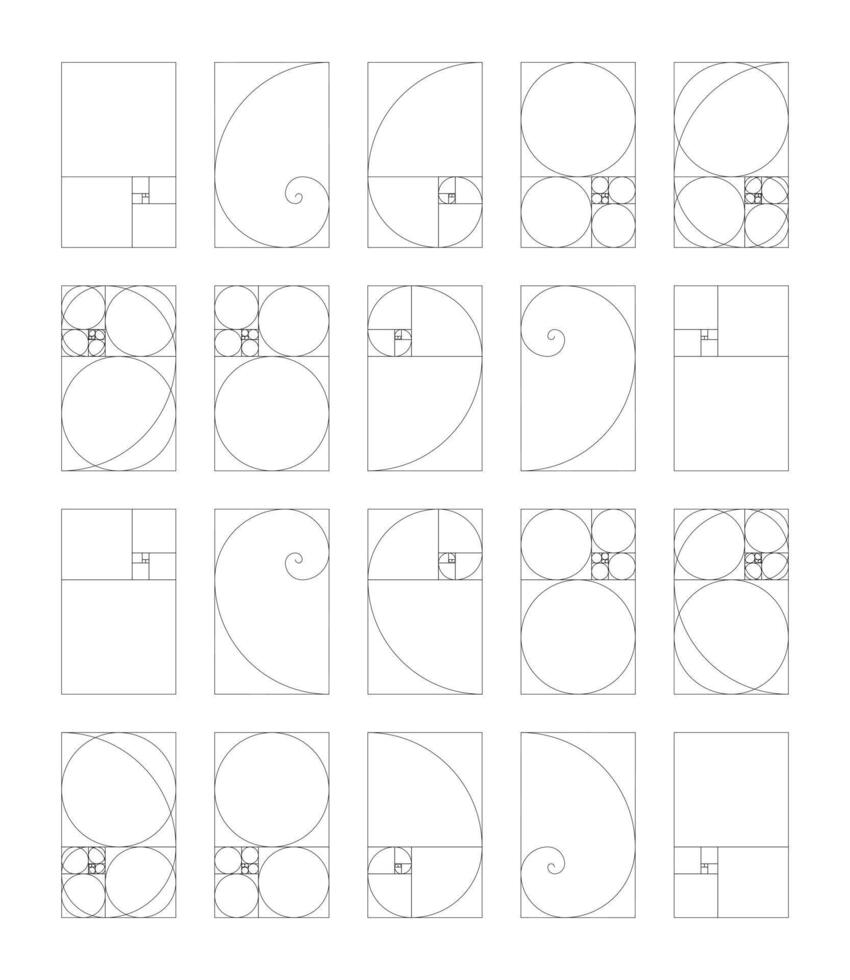vertical dorado proporción armonía dimensiones modelo. conjunto de fibonacci números. fibonacci formación. vector
