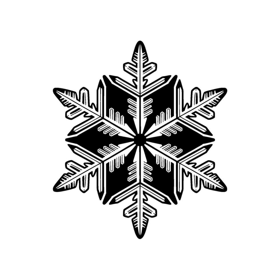A striking illustration of a geometrically precise snowflake with intricate fractal patterns vector