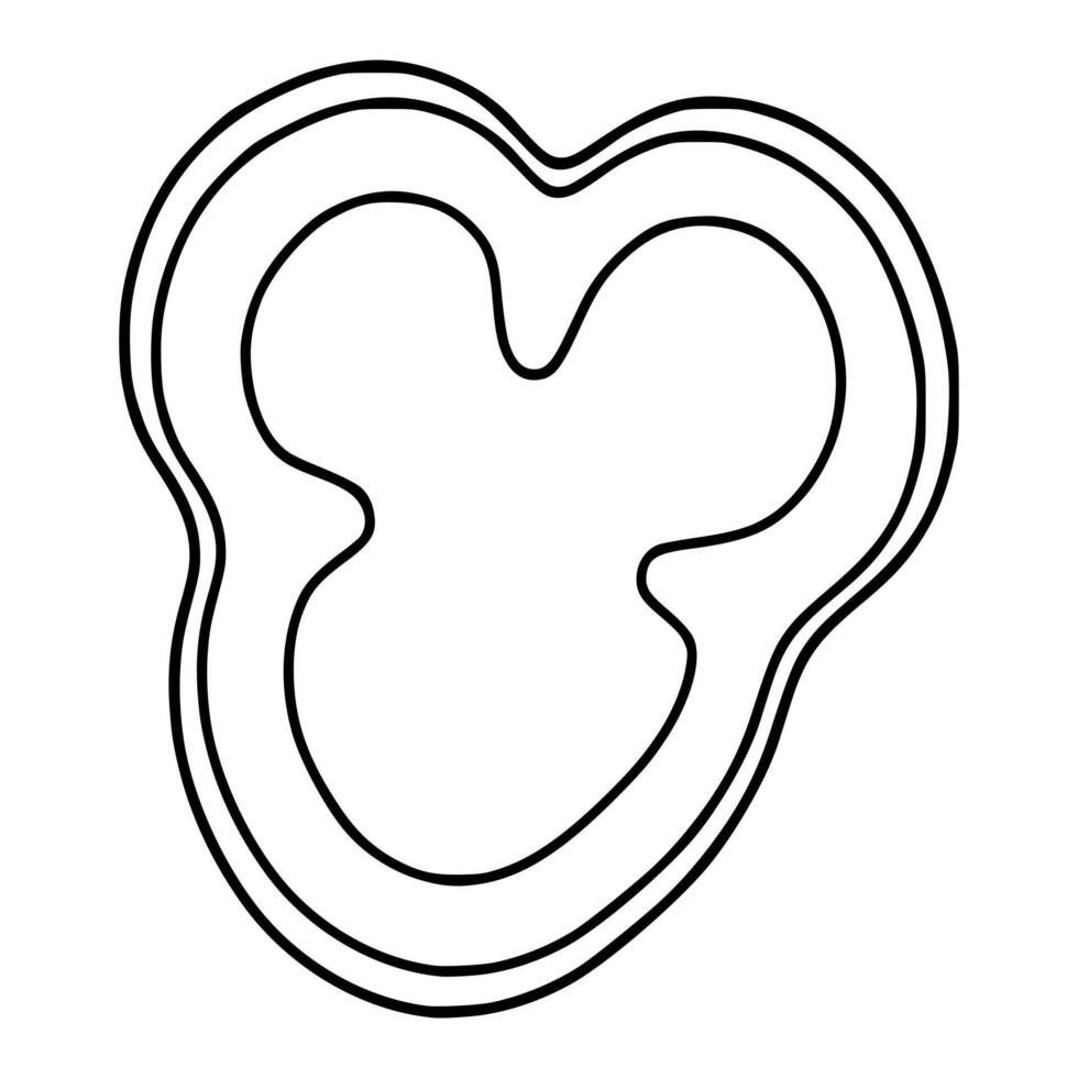 Simple outline illustration of a bell pepper slice, showcasing its segmented internal structure with clean, bold black lines on a white background. vector