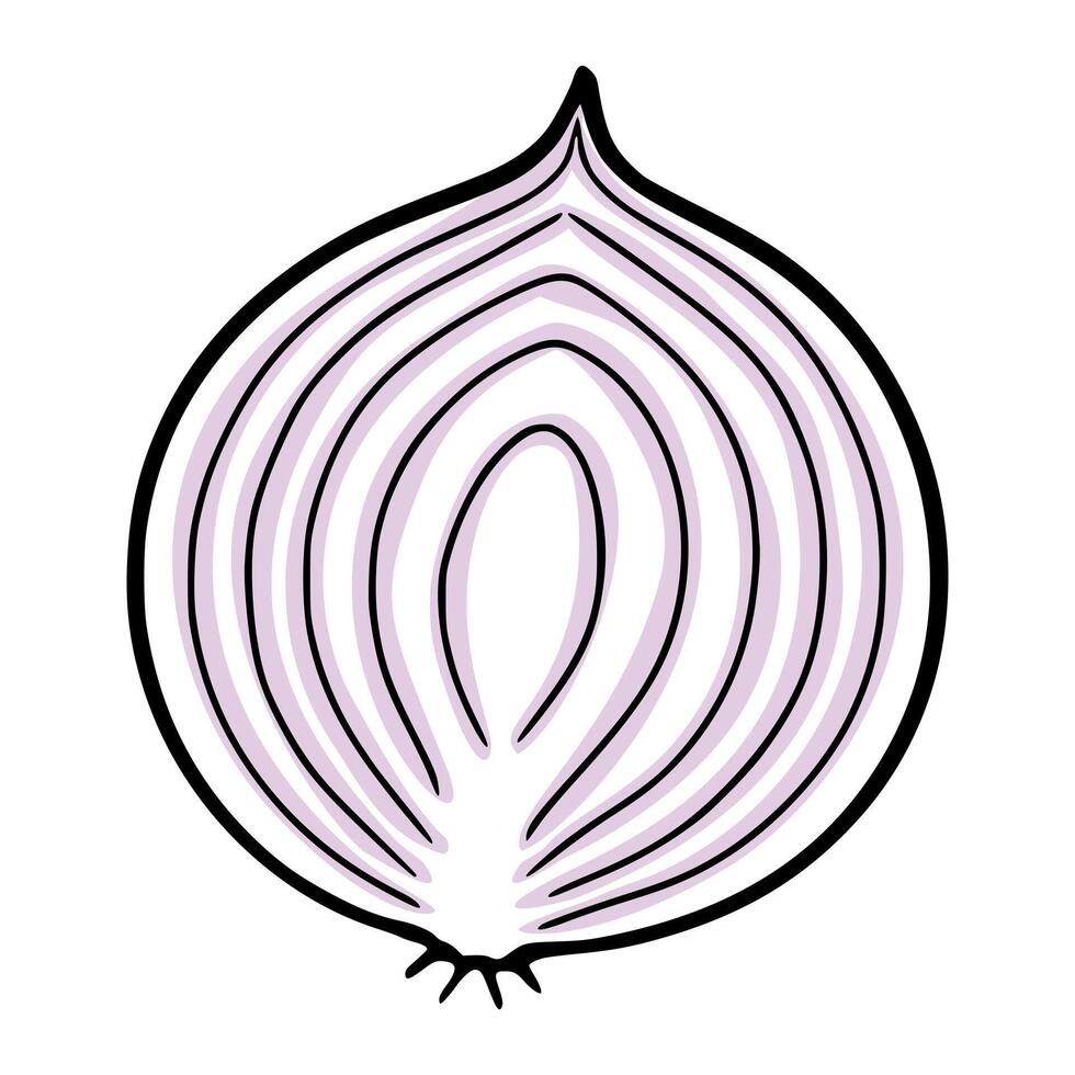 Stylized illustration of a cross section of a red onion with concentric rings and a distinct top sprout. vector