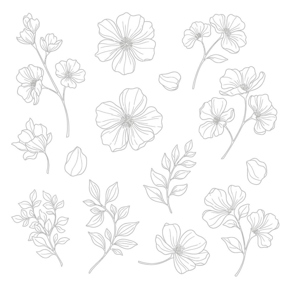 Elegant Handdrawn Botanical Floral Elements Sketch Set. Vintage Line Art Isolated. vector
