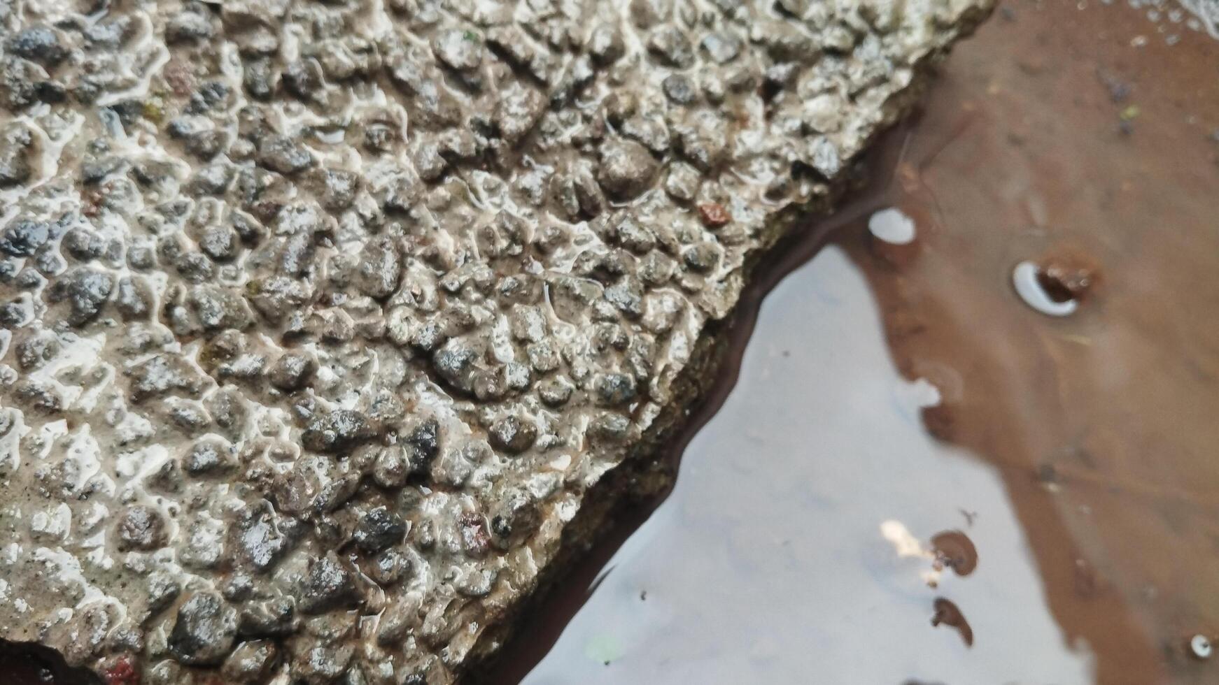 Detailed image of a wet natural stone object with natural contrasting colors. Soft natural light. Suitable for visual-based material recognition AI. photo